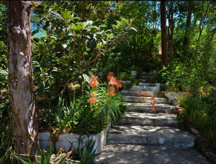La Barranca De La Barca Bed & Breakfast อะโลรา ภายนอก รูปภาพ
